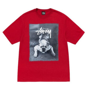 Bulldog Stussy Red T-Shirt